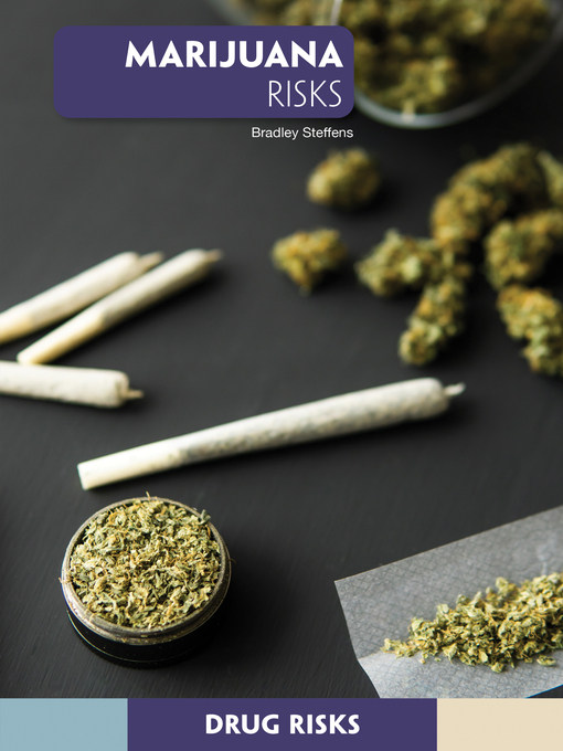 Title details for Marijuana Risks by Bradley Steffens - Available